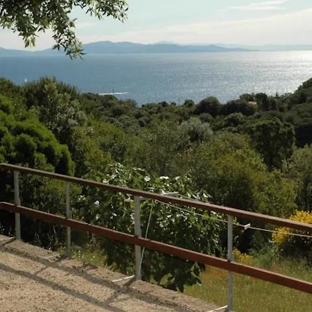 Le Querce - Lentisco *