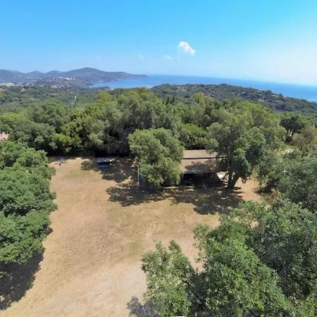 Le Querce - Lentisco *