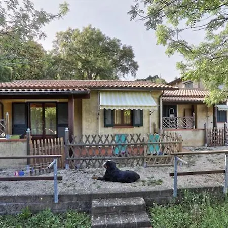 Lägenhet Le Querce - Lentisco *